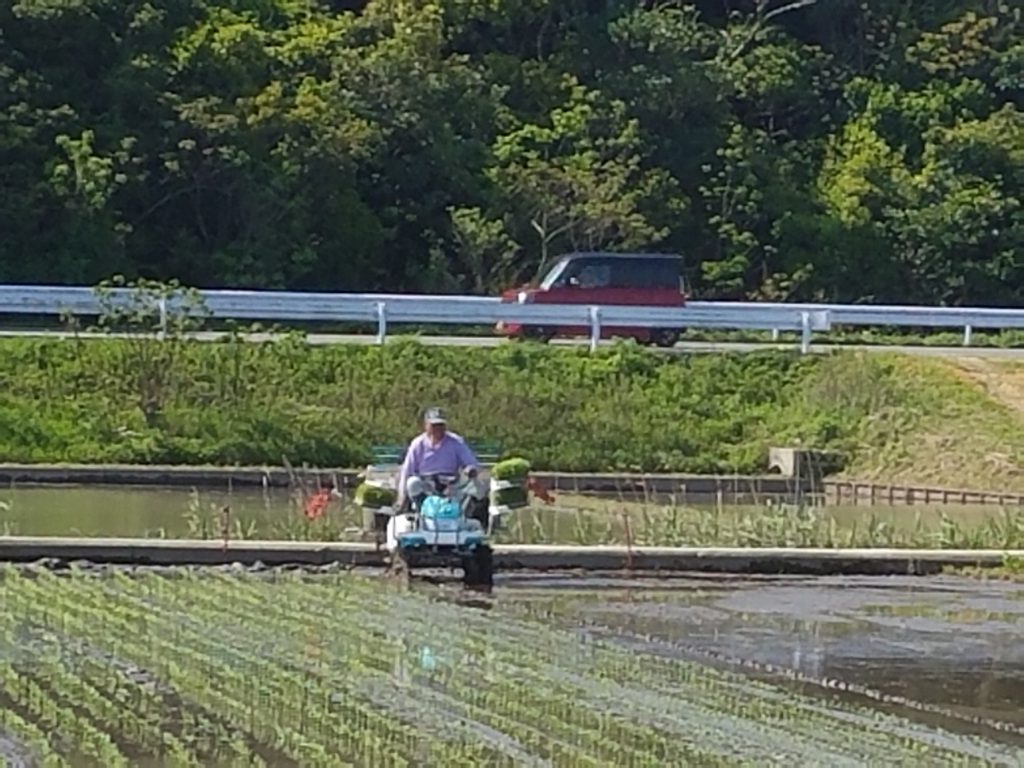 ★田植え★