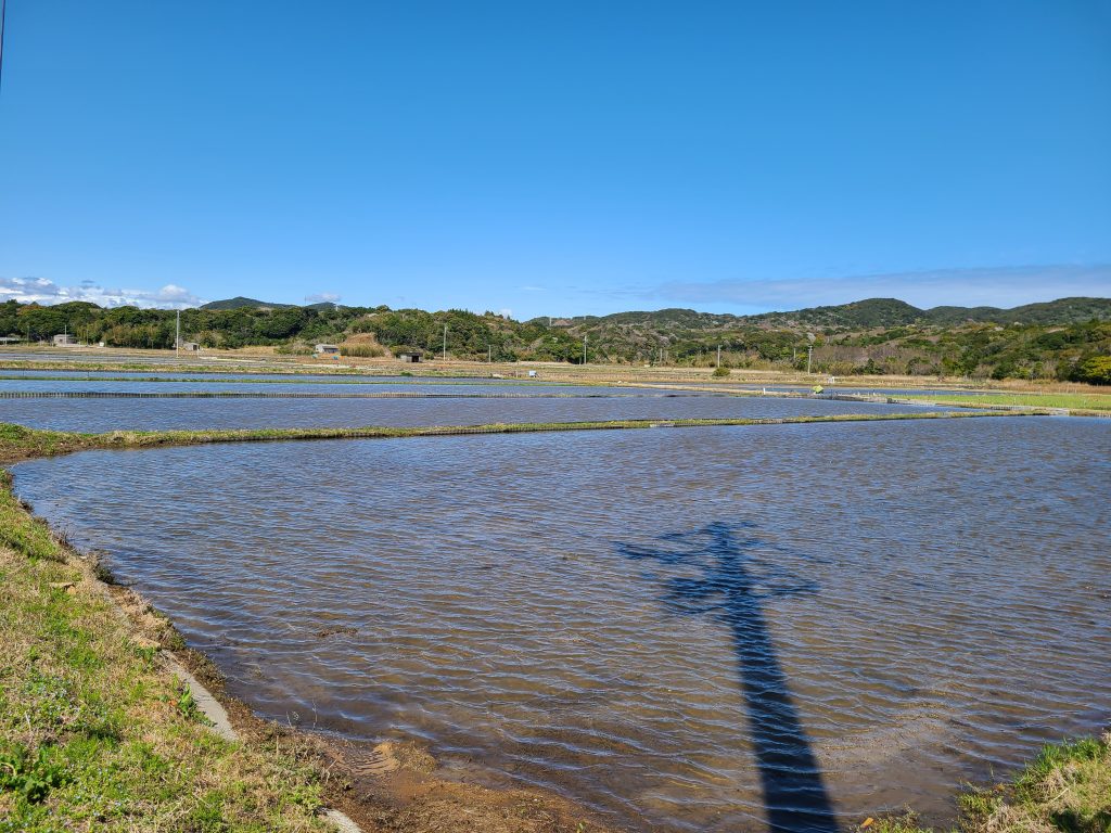 田植えの準備！